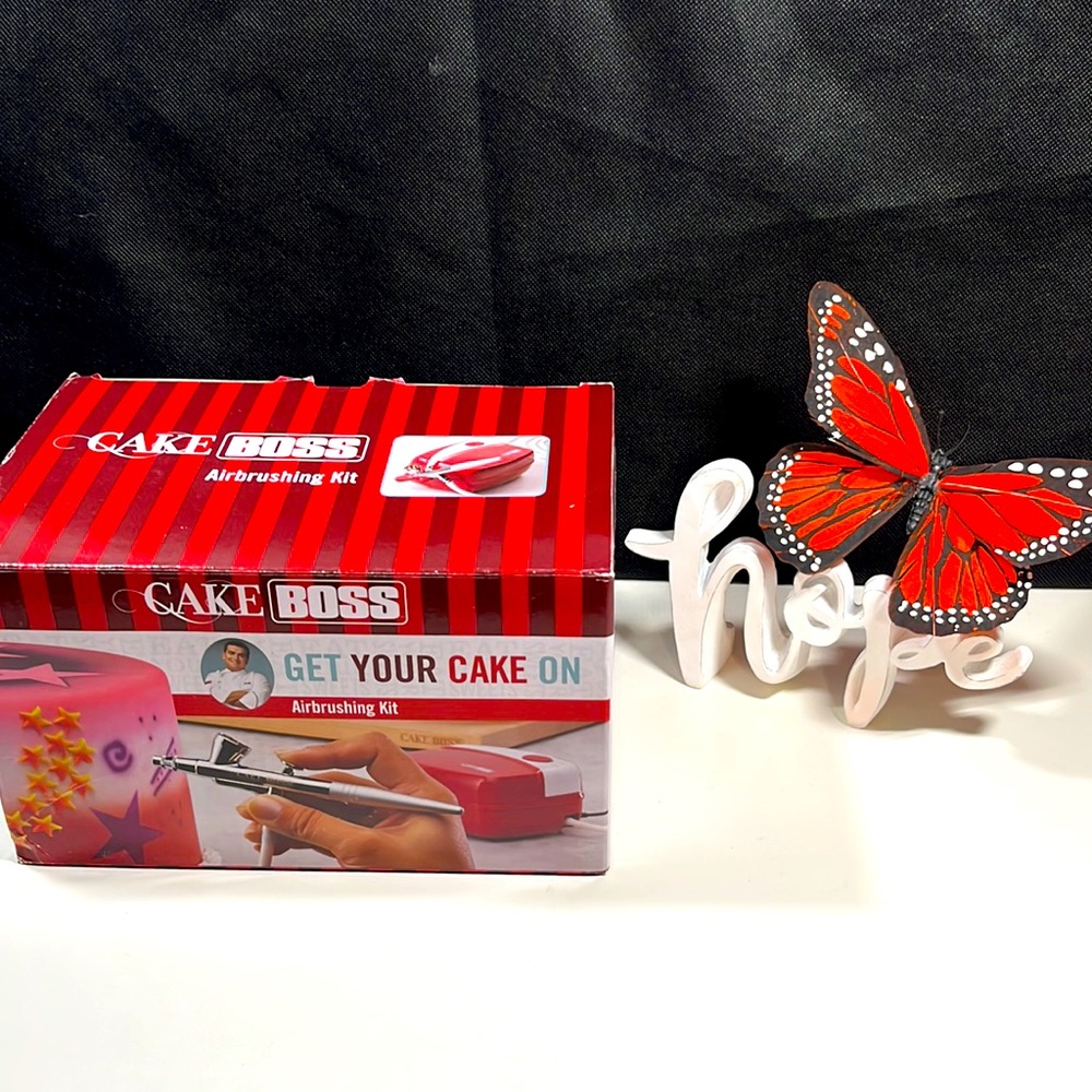 Cake boss airbrush kit